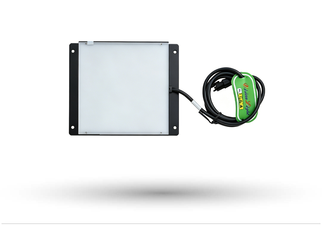 CCD Bottom LED Light​